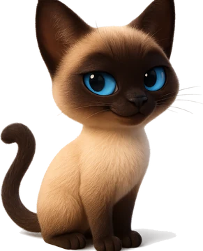 Mocha the siamese cat